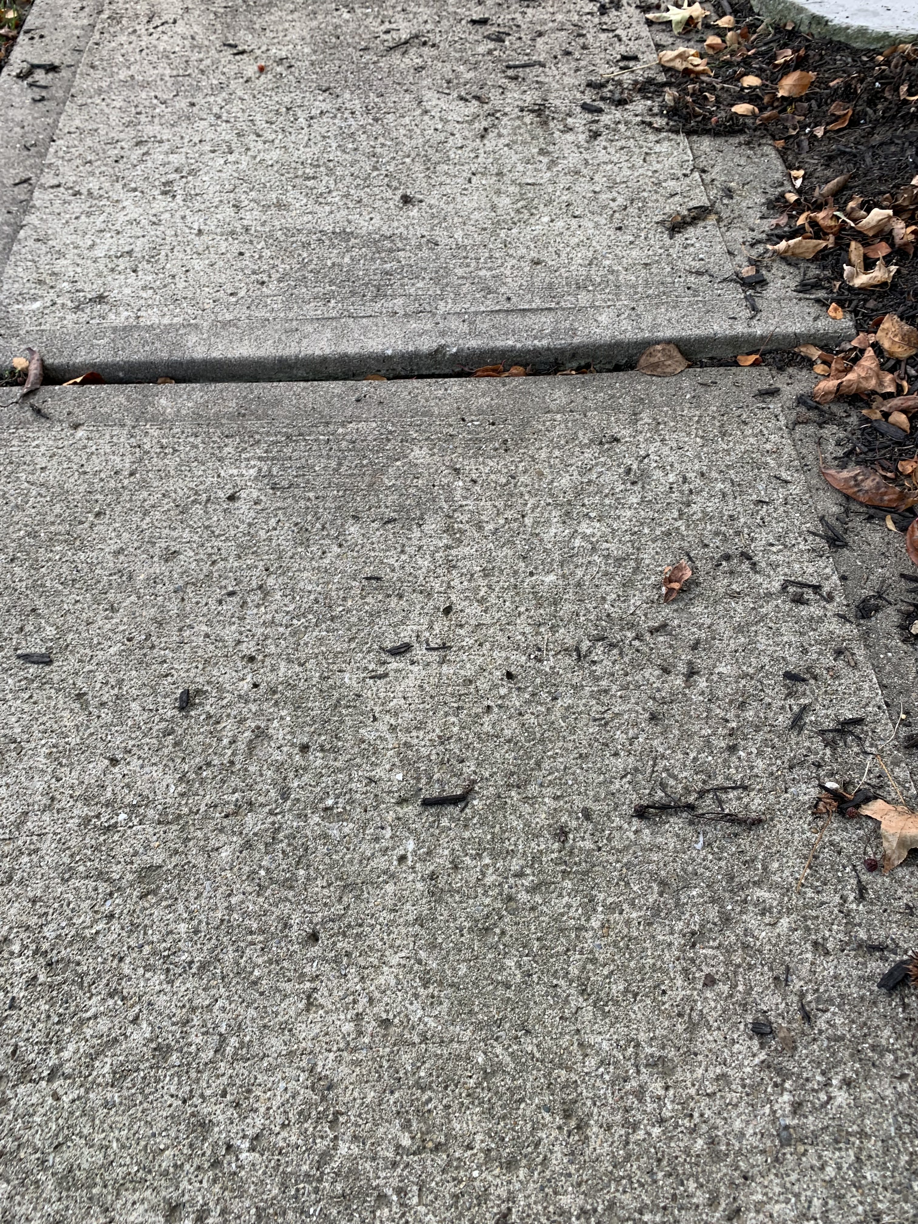 Concrete Sidewalk Curb | Steve Hupp Construction, LLC